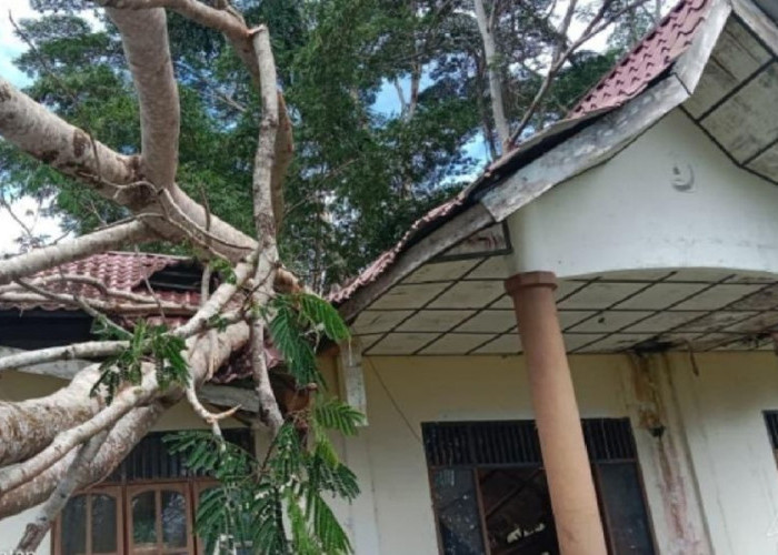 Angin Kencang dan Longsor Landa Nias, Satu Kantor Pemerintah Dilaporkan Rusak