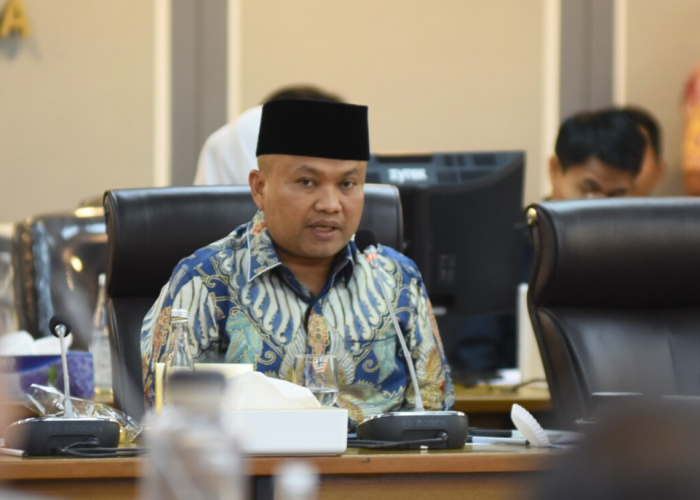  Stok MinyaKita di Sumut Aman Namun DPR Temukan Masalah Distribusi DMO ke Pasar