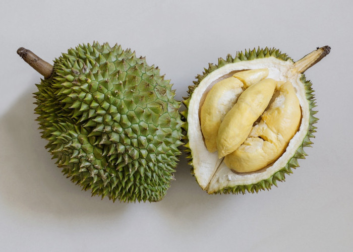 Jangan Asal Santap! Simak Fakta Medis dan Aturan Aman Makan Durian Agar Tak Jadi Bencana