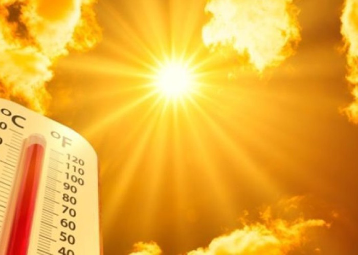 Gelombang Panas Melanda Medan: Suhu Tembus 38 Derajat Celcius, Waspadai Dehidrasi!