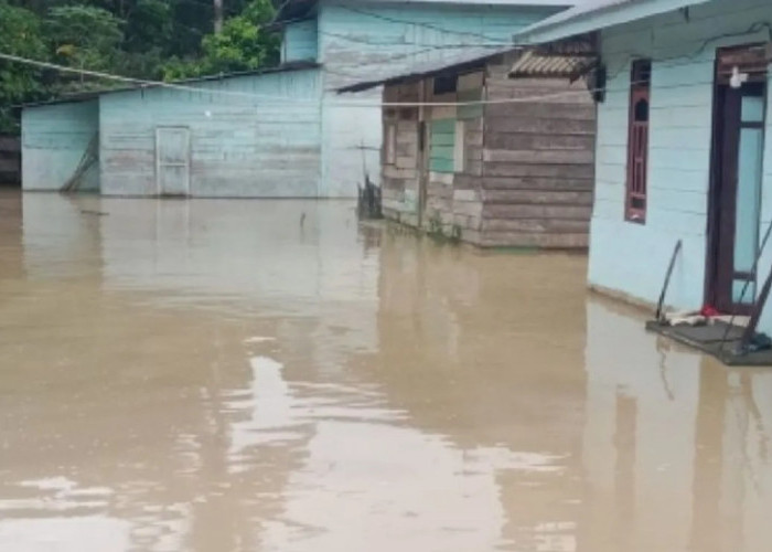 Banjir Terjang 3 Wilayah di Sumut, Puluhan Warga Mengungsi dan Sawah Terdampak