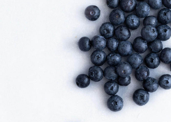 Si Mungil Berdaya Magis: Mengapa Blueberry Layak Disebut Raja Makanan Super?