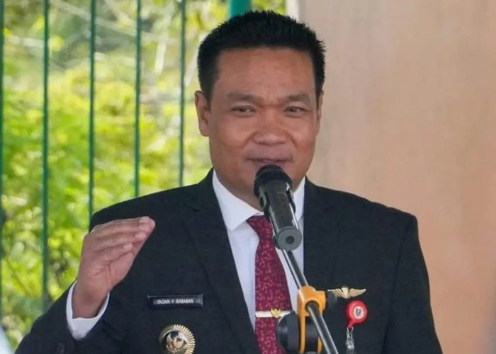 Alasan Fokus Kerja, Bupati Humbahas dan Bupati Taput Kompak Mundur dari Jabatan Ketua Partai