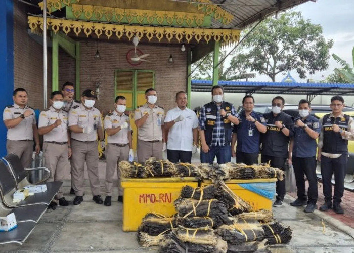 Modus Licik Terbongkar! Ribuan Kulit Biawak Gagal Diselundupkan ke Malaysia Lewat Pelabuhan Teluk Nibung