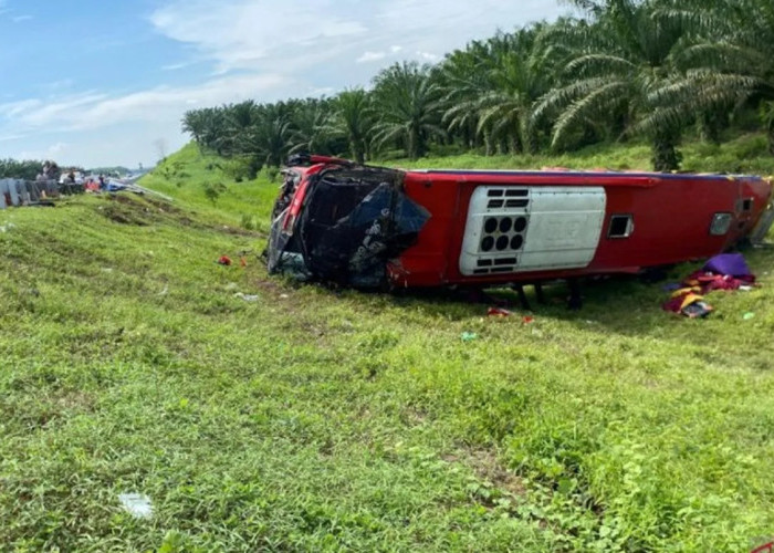 Maut di KM 63 Tol JMKT: Bus Halmahera Terjang L300 Hingga Terbalik, 4 Penumpang Tewas dan Sopir Kabur