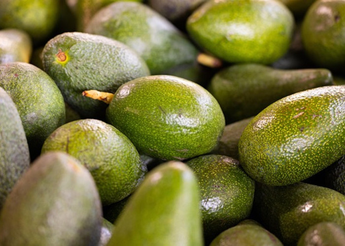 Rahasia Alpukat Tetap Hijau: 5 Trik Jitu Simpan Buah Potong Agar Tak Cepat Hitam
