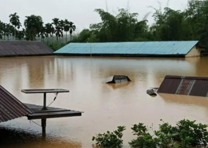 Cuaca Ekstrem Terjang Taput: 117 Rumah di Tarutung dan Sipoholon Terdampak Banjir serta Longsor