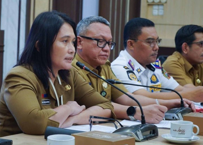 Ribuan Pohon Terdampak Proyek BRT Pemkot Medan Pastikan Batang Kayu Bakal Dilelang