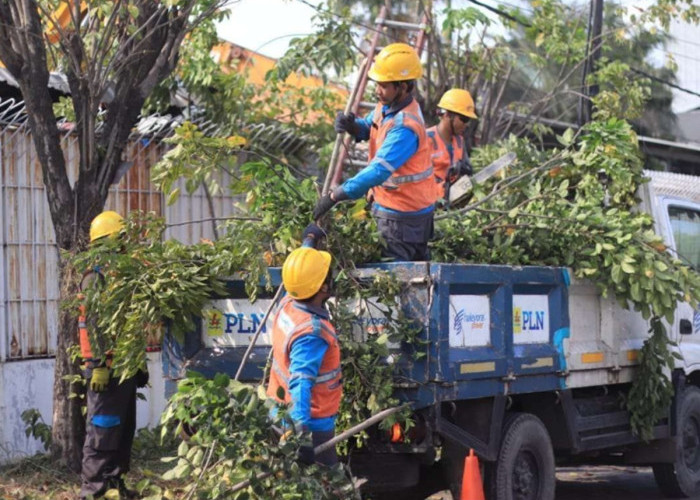 Warga Medan Baru Bersiap, PLN Padamkan Listrik 4 Jam Hari Ini: Cek Daftar Lokasinya!