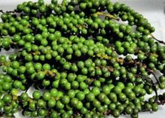 5 Obat Herbal Khas Sumut untuk Atasi Masuk Angin, Nomor 3 Jarang Diketahui tapi Manjur