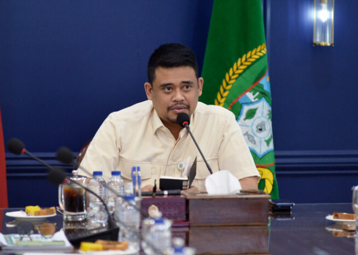 Pemprov Sumut Kembangkan Kampung Kreatif, Targetkan Ekonomi dan UMKM Tumbuh