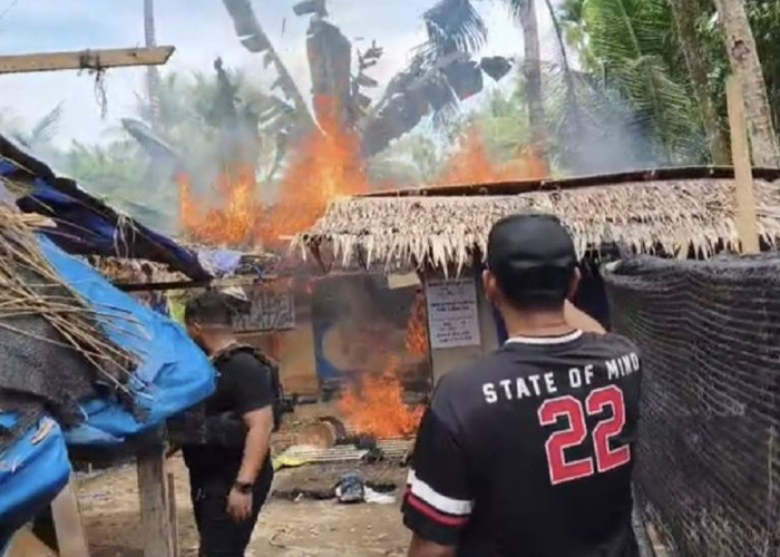Putus Mata Rantai Peredaran, Polda Sumut Hancurkan 31 Barak dan Sarang Narkoba