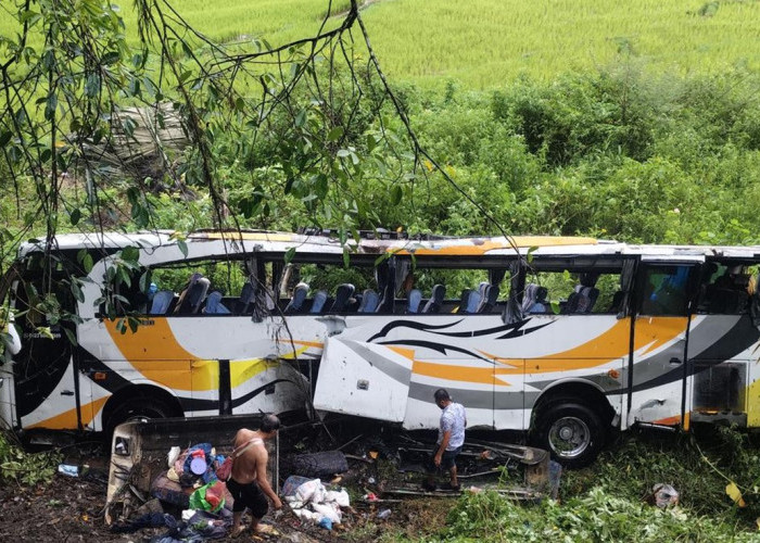 Mencekam! Bus Rombongan Sekolah Terjun ke Jurang di Toba, Begini Nasib 50 Penumpangnya
