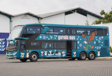 PO Garuda Mas Luncurkan Bus Tingkat Mewah, Jakarta - Malang Lebih Seru !!