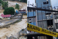 Kebakaran Terra Drone Jadi Sorotan di Tengah Isu Pembalakan Liar di Sumatera