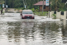 Banjir Rendam Medan, Hampir 2.000 Rumah Terdampak dan Puluhan Warga Mengungsi