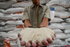 Naik Dua Kali Lipat, Bulog Pasok Bantuan Pangan Bagi 485 Ribu Warga Sumut