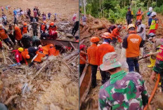 Update Bencana Sumut: Korban Meninggal Dunia Bertambah Jadi 366 Orang, Tapanuli Tengah Alami Dampak Terparah