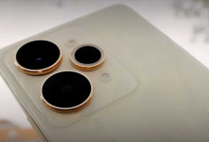 Jangan Bingung! Begini Panduan Memilih HP realme Tahun 2026 Sesuai Budget dan Kebutuhan