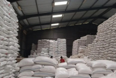 Jamin Stok Aman Hingga Ramadan, Bulog Siapkan 41 Ribu Ton Beras untuk Nataru di Sumut