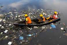 Ribuan Warga Turun Tangan! Kota Medan Angkut 28 Ton Sampah Saat Hari Lingkungan Hidup