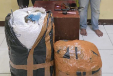 Lari dari Aceh ke Medan, Tiga Kurir 20 Kg Ganja Lintas Provinsi Tak Berkutik Ringkus Polda Sumut