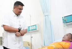 Kesehatan Warga Sumut Meningkat, AKI Turun dan Umur Harapan Hidup Lampaui Target