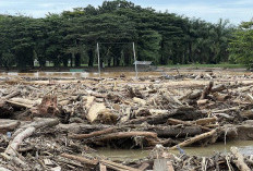 Pilunya Tokoh Adat Garoga: Desa Hilang Disapu ‘Tsunami Kayu’, Ribuan Batang Pohon Hancurkan Permukiman Warga