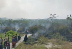 Lahan Tiga Hektare di Paluta Terbakar, BPBD Sumut Pastikan Api Sudah Padam