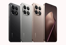 Raja Baru Performa! Adu Gahar POCO X8 Pro vs POCO X8 Pro Max: Mana yang Paling Worth It?