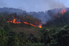 BMKG Deteksi 64 Titik Panas di Sumut, Terbanyak Menyebar di Kabupaten Karo