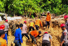 Update BPBD Sumut: Korban Banjir dan Longsor Tembus 347 Tewas, 91 Orang Masih Hilang