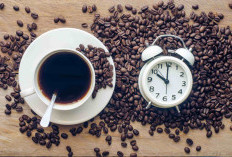 Berapa Lama Kafein Bertahan di Tubuh Setelah Minum Kopi? Ini Penjelasannya