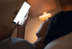 Kebiasaan Main HP Sebelum Tidur Bisa Mengganggu Pola Tidur, Ini Penjelasannya