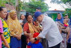 Tinjau Bireuen hingga Aceh Utara, Menko Zulhas Pastikan Pemulihan Pertanian dan Bantuan Korban Banjir