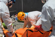 Kabar Baik dari Zona Bencana: BNPB Sebut Tidak Ada Tambahan Korban Jiwa di Sumatera Hari Ini