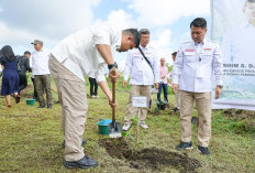 Gandeng Hashim Djojohadikusumo, Bobby Nasution Tanam Satu Juta Pohon demi Ketahanan Lingkungan Sumatera Utara