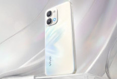Panduan Lengkap Vivo 2026: Dari Fotografi Pro Seri X Hingga Seri Y yang Irit Baterai