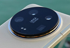 Panduan Lengkap HP Xiaomi Terbaru 2026: Dari Kelas Entry-Level Hingga Flagship Premium