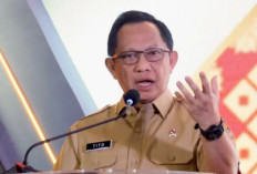 Sanksi Tiga Bulan: Bupati Mirwan MS Wajib 'Magang' di Kemendagri untuk Belajar Penanganan Bencana