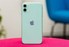 Tertanam di Silikon, Celah usbliter8 Bikin iPhone 11 dan Seri XS Rentan Dibajak Permanen
