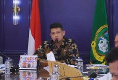 Nasib 29 Ribu Pekerja Terancam, Bobby Nasution Desak KLHK Kaji Ulang Pencabutan Izin Hutan