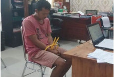 Viral Sopir Angkot Pamer Alat Kelamin di Serdang Bedagai, Polisi Langsung Amankan Pelaku