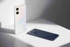 Anggaran Terbatas? Ini 5 Rekomendasi HP OPPO Harga 1 Jutaan Terbaik di Tahun 2026