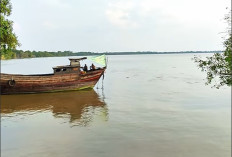 Duel Maut di Sungai Kualuh: Nelayan Labura Lolos dari Terkam Buaya Usai Hunus Parang