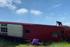 Tragedi Tol Kualanamu: Dishub Sumut Desak Operator Bus AKAP Perketat Syarat Kelayakan Sopir