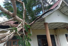 Angin Kencang dan Longsor Landa Nias, Satu Kantor Pemerintah Dilaporkan Rusak