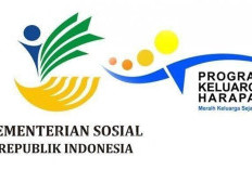Panduan Lengkap Bansos PKH 2026: Syarat Penerima Terbaru dan Cara Cek Pencairan Lewat HP