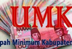 Kabar Gembira! UMK Medan 2026 Resmi Naik 8 Persen Menjadi Rp4,3 Juta, Ini Rinciannya
