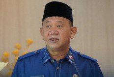 Rekam Jejak Syah Afandin: Dari Anggota DPRD Hingga Terjaring OTT KPK ke-15